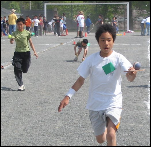 Field 065.jpg